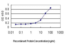 TNFSF14 / LIGHT Antibody (clone 4E3)