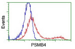 PSMB4 Antibody (clone OTI5B5)