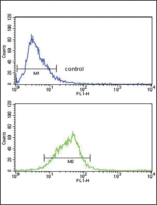 AOX1 / Aldehyde Oxidase Antibody (aa698-726)