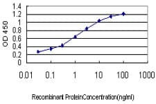 FUBP1 Antibody (clone 3H4)