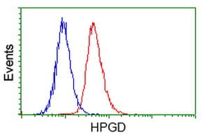 15-PGDH / HPGD Antibody (clone OTI2C10)