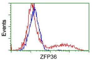 ZFP36 / Tristetraprolin Antibody (clone OTI4E1, Carrier-free)