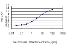 SRGAP1 Antibody (clone 5D2)