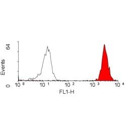 HLA-A/B/C Antibody (clone W6/32, Low Endotoxin)