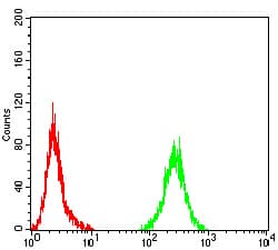 PLCG1 Antibody (clone 2F3D11)