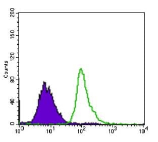 Monoclonal Mouse anti-Human TP53BP1 / 53BP1 Antibody (clone 6B3E10, aa500-800, IHC, WB)