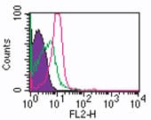 Monoclonal Mouse anti-Human RORC / ROR Gamma Antibody (clone 4G419, PE, aa1-50)