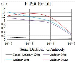 ITGB1 / Integrin Beta 1 / CD29 Antibody (clone 3B6B2)
