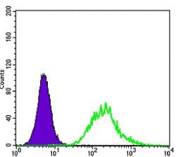 MATK Antibody (clone 9D7)