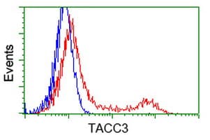 ERIC-1 / TACC3 Antibody (clone OTI3B1)