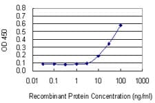 Monoclonal Mouse anti-Human TIMP3 Antibody (clone 1D8)
