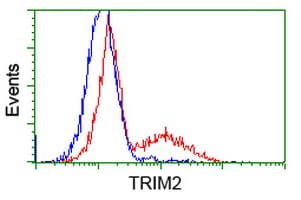 Monoclonal Mouse anti-Human KIAA0517 / TRIM2 Antibody (clone OTI2B10, WB)