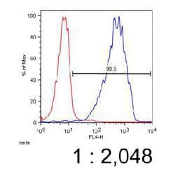 ABCA7 Antibody (clone 7A1-144, DY488)
