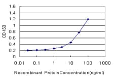TYK2 Antibody (clone 6H1)