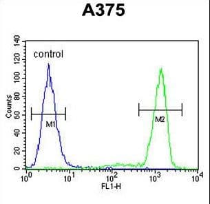TECPR1 Antibody (aa162-189)