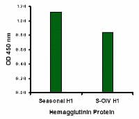 Polyclonal Rabbit anti-Virus Influenza A Virus Hemagglutinin Antibody