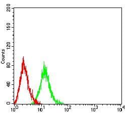 Monoclonal Mouse anti-Human LILRB5 / LIR8 Antibody (clone 6D3C8, WB)