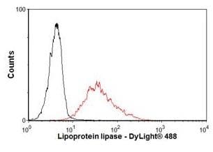LPL / Lipoprotein Lipase Antibody (clone 5D2)