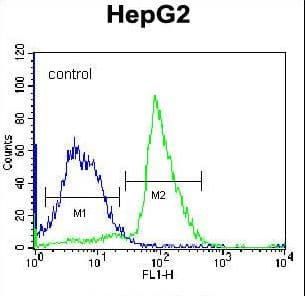 IHC-plus™ Polyclonal Rabbit anti-Human PON2 Antibody (aa79-107, IHC, WB)