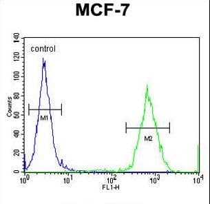 GPD1L Antibody (aa44-73)