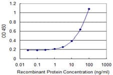 KEL / CD238 Antibody (clone 4B10)