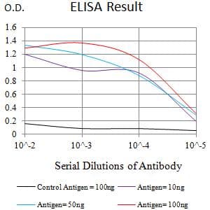 CLEC9A Antibody (clone 5C7A7)