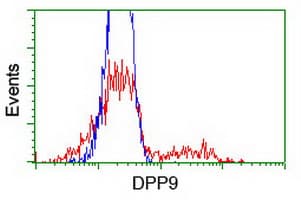 IHC-plus™ DPP9 Antibody (clone 1G9)