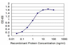 TRIM16 Antibody (clone 5G11)