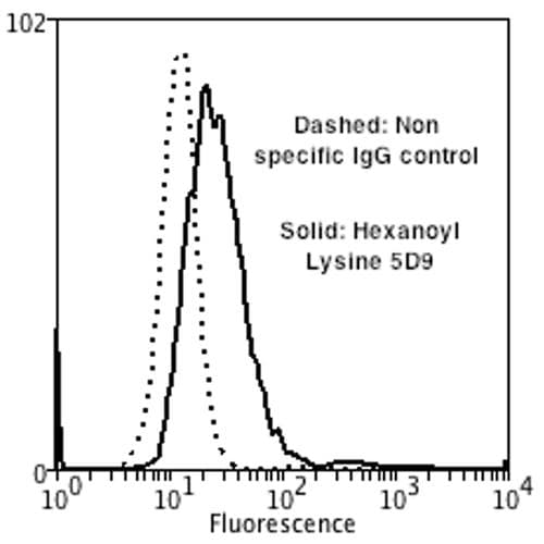 Hexanoyl-Lysine adduct Antibody (clone 5D9, PerCP)