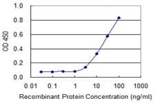 GNAQ Antibody (clone 3B9)