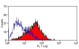 Monoclonal Mouse anti-Rat CD86 Antibody (clone 24F, FITC)