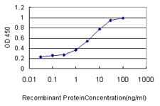 GNG3 Antibody (clone 1E10-1B5)