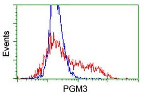 PGM3 Antibody (clone OTI1A11)