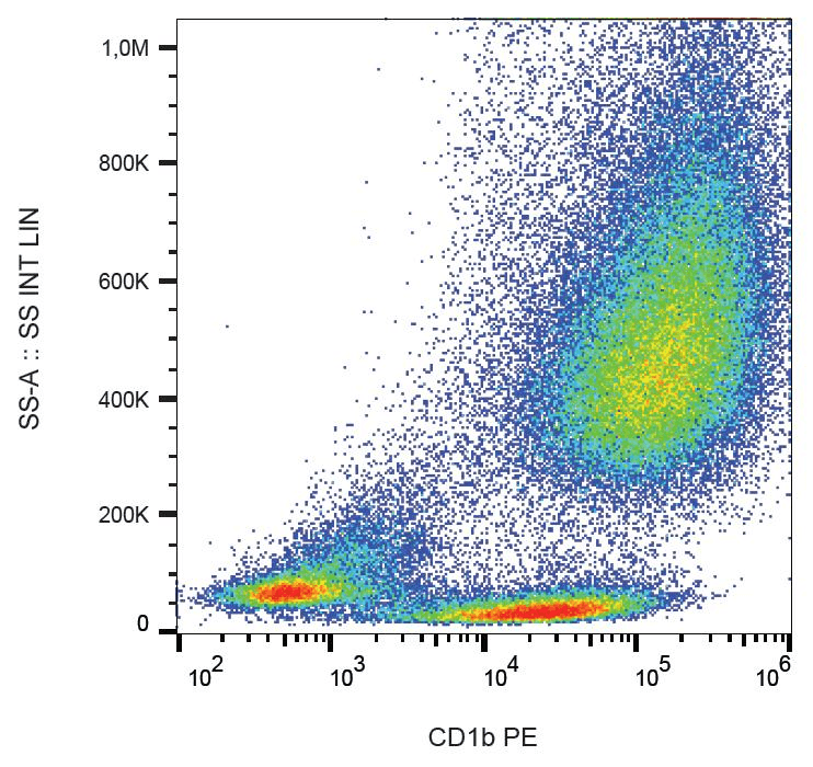 CD1B Antibody (clone SN13, PE)