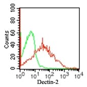 CLEC6A / Dectin 2 Antibody (aa75-125, clone IMG3D1)