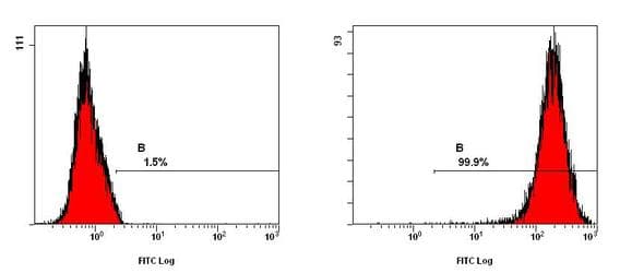 MYC / c-Myc Antibody (clone 9E10, Biotin)