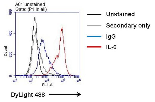 IL6 / Interleukin 6 Antibody