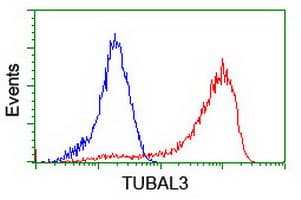 TUBAL3 Antibody (aa150-446, clone OTI2F6, Carrier-free)