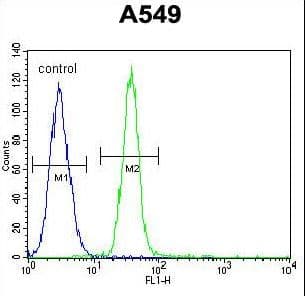 TDRD7 Antibody (aa807-835)