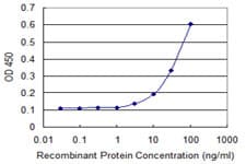 IHC-plus™ ERP44 Antibody (clone 3C7)