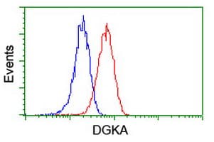 DGKA Antibody (clone OTI6A11, Carrier-free)