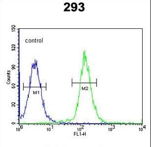 CDC45 Antibody (aa236-263)