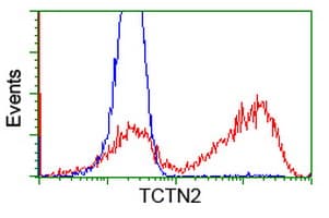 TCTN2 Antibody (clone OTI1C1)