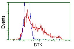 BTK Antibody (clone OTI12H4)