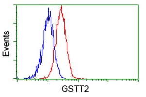 GSTT2 Antibody (clone OTI8A10)