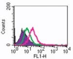 IHC-plus™ TNFRSF11A / RANK Antibody (aa326-616, clone 9A725)