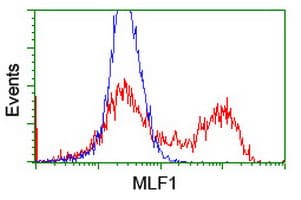 MLF1 Antibody (clone OTI5D9)