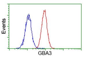 GBA3 / CBG Antibody (aa1-150, clone OTI1C7, Carrier-free)