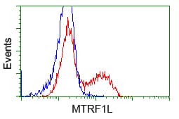 HMRF1L / MTRF1L Antibody (clone OTI2B5)