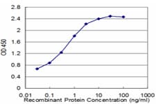 RXRG Antibody (clone 6H1)
